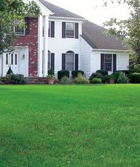 Springbank Property Clean Up